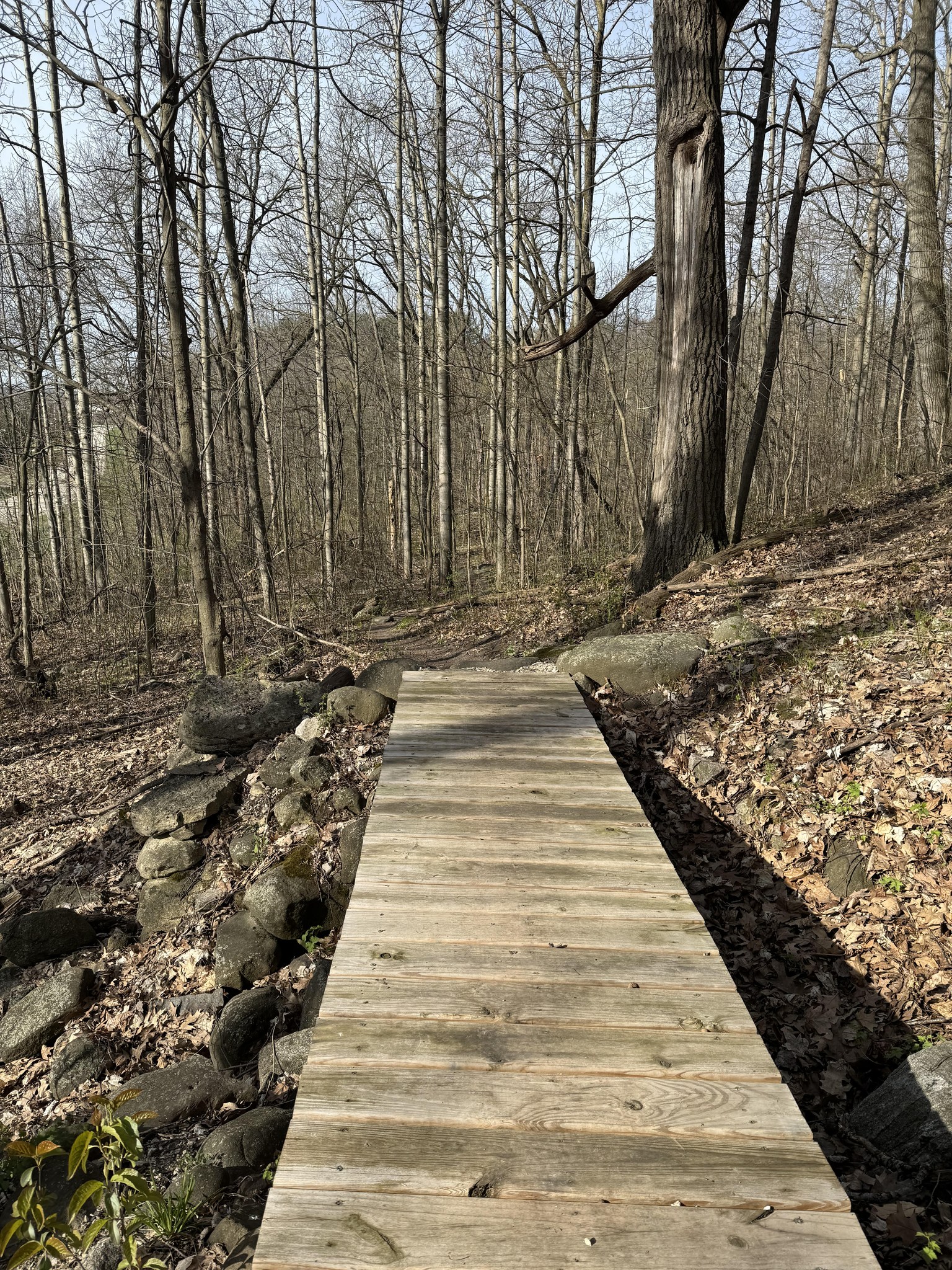 5 Miles of Biking Trails