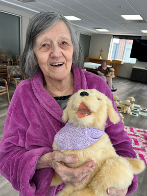 Furry Friends Project